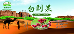 白刺果