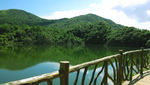 绿水青山