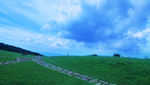 山坡小道