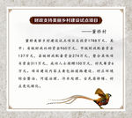制度