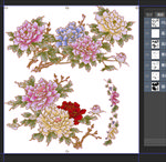 牡丹花