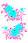 花 变色