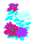 花 变色了