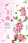 樱花春天