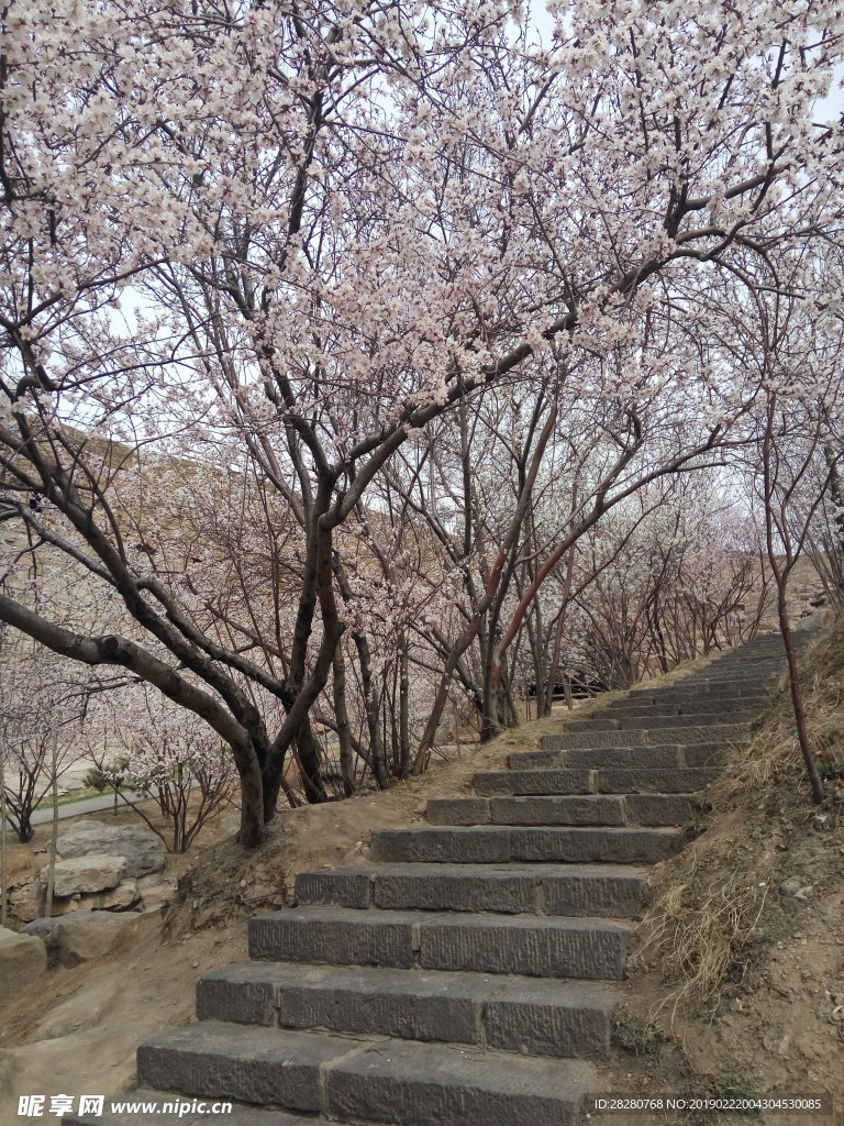 桃花石阶梯