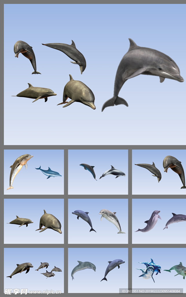 免抠海豚图片