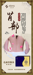 养生