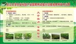 农业科技产业园果树试验