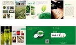 茶叶宣传三折页
