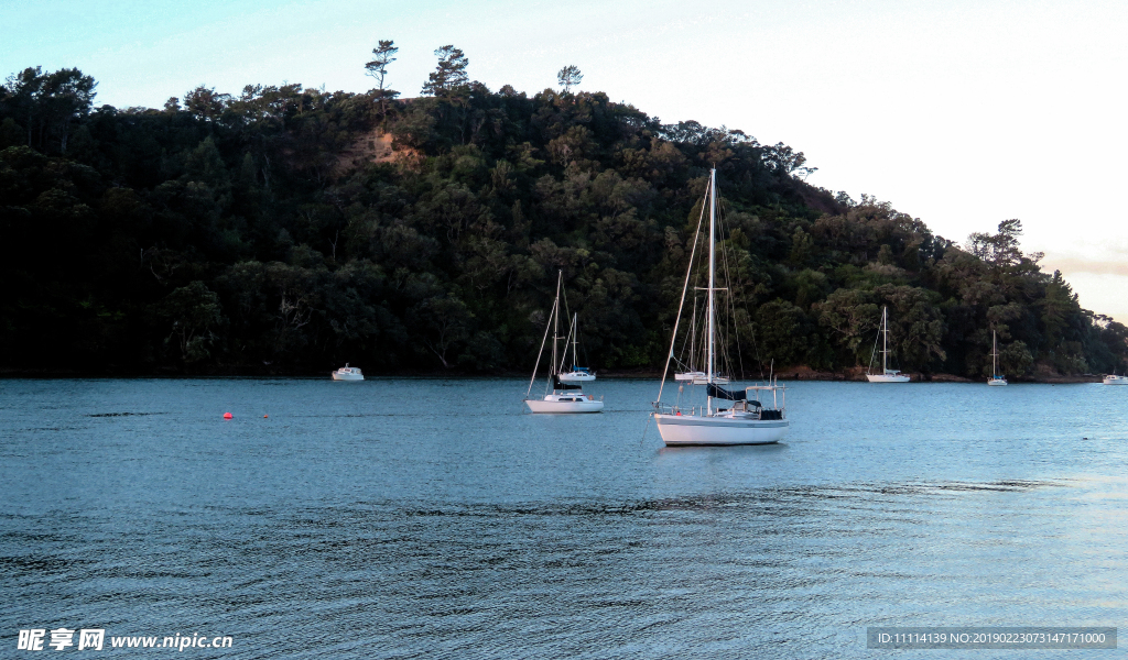 新西兰海滨黄昏风景