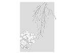 花矢量