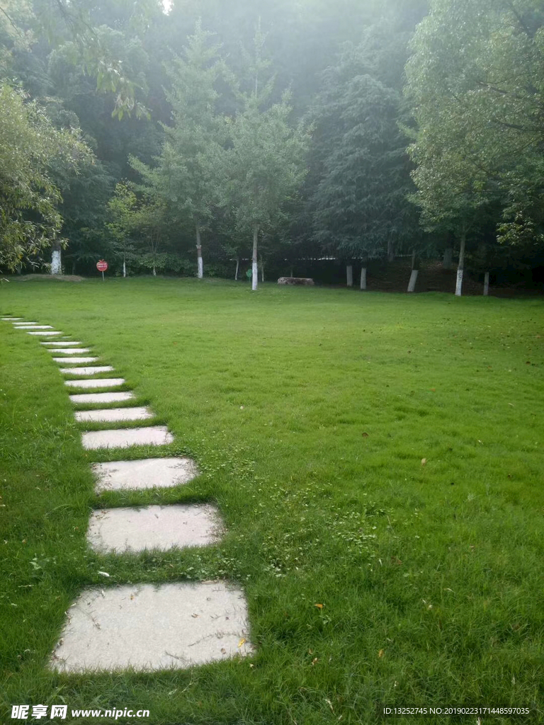 草地