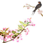 桃花手绘鸟与樱花