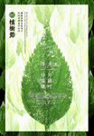 植树节