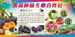 果蔬种植专业合作社