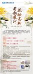 菊花摄影大赛