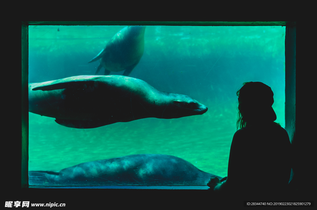 水族馆