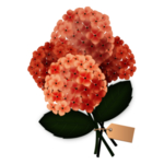 卡通花束图片