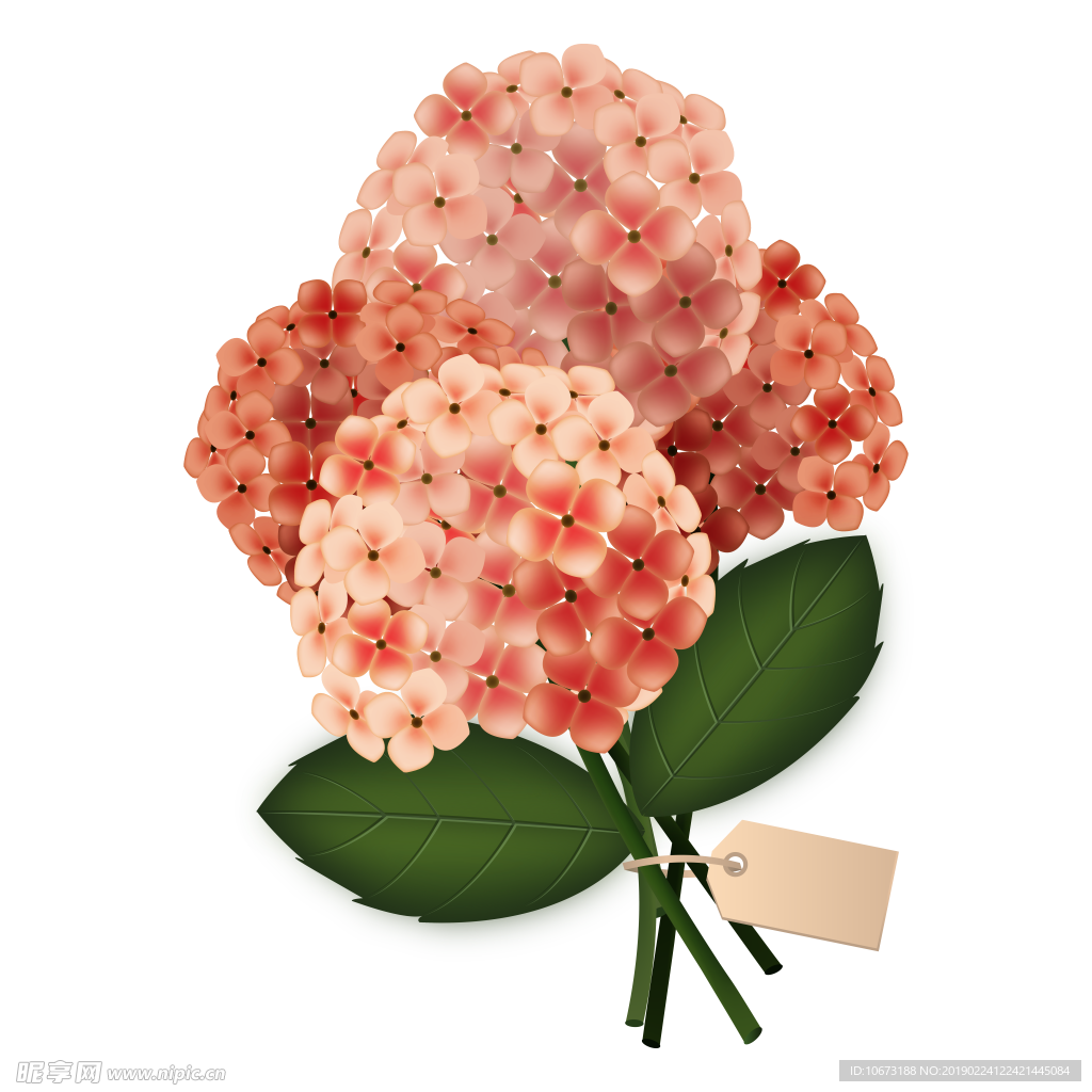 卡通花束图片
