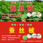 蚕丝被门头