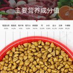 宠物零食幼犬狗粮食描述设计图