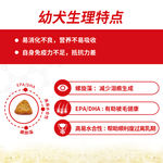 宠物零食狗粮食描述设计图