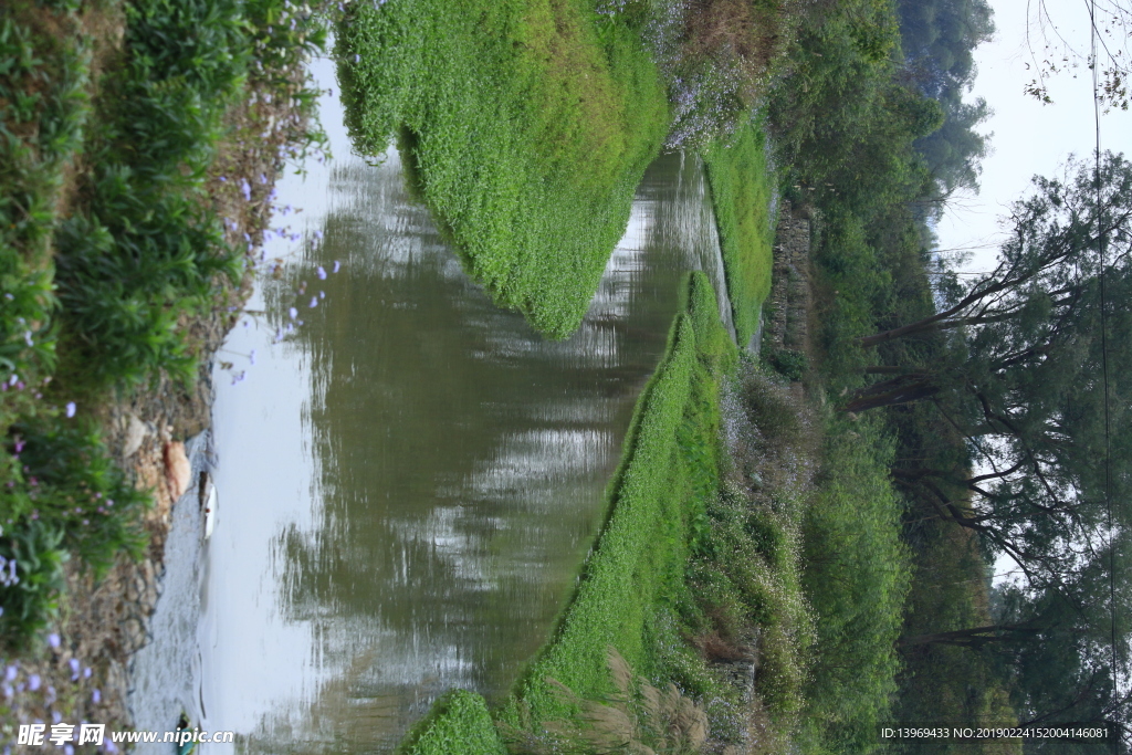 自然 郊野 野外 Photo