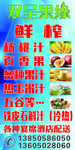 杨桃广告