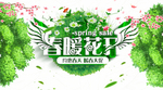 春暖花开 绿色背景