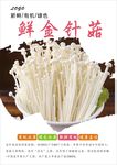 金针菇海报