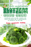 西兰花蔬菜海报