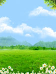 绿色背景