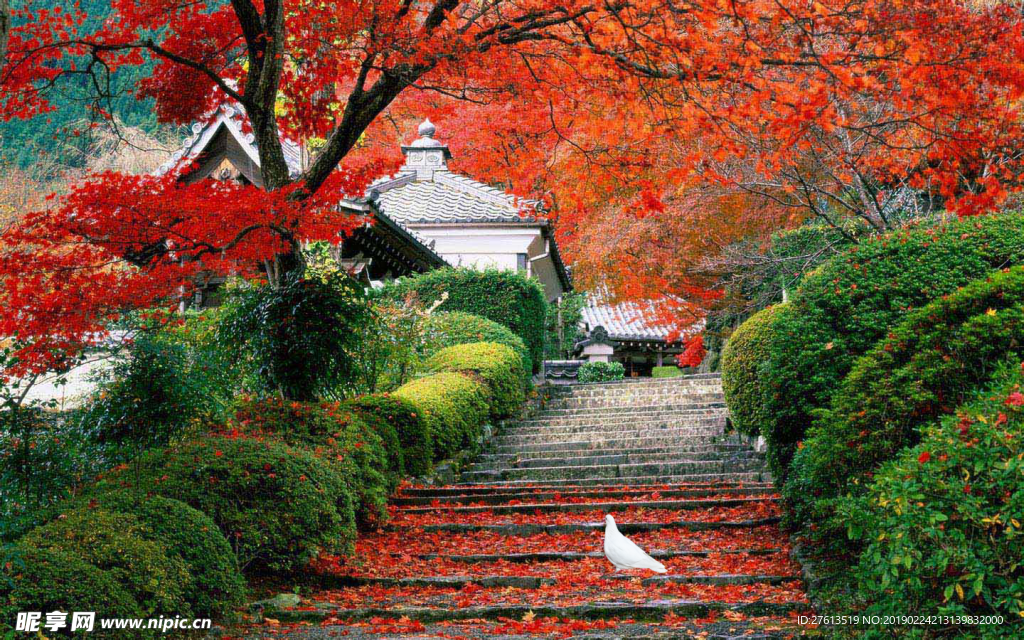 深山幽寺图片