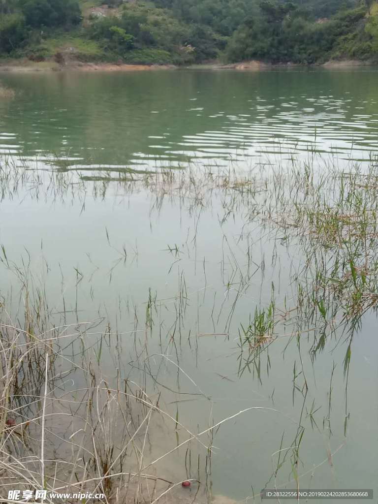 水面