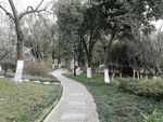 公园小路 自然小路 公园道路