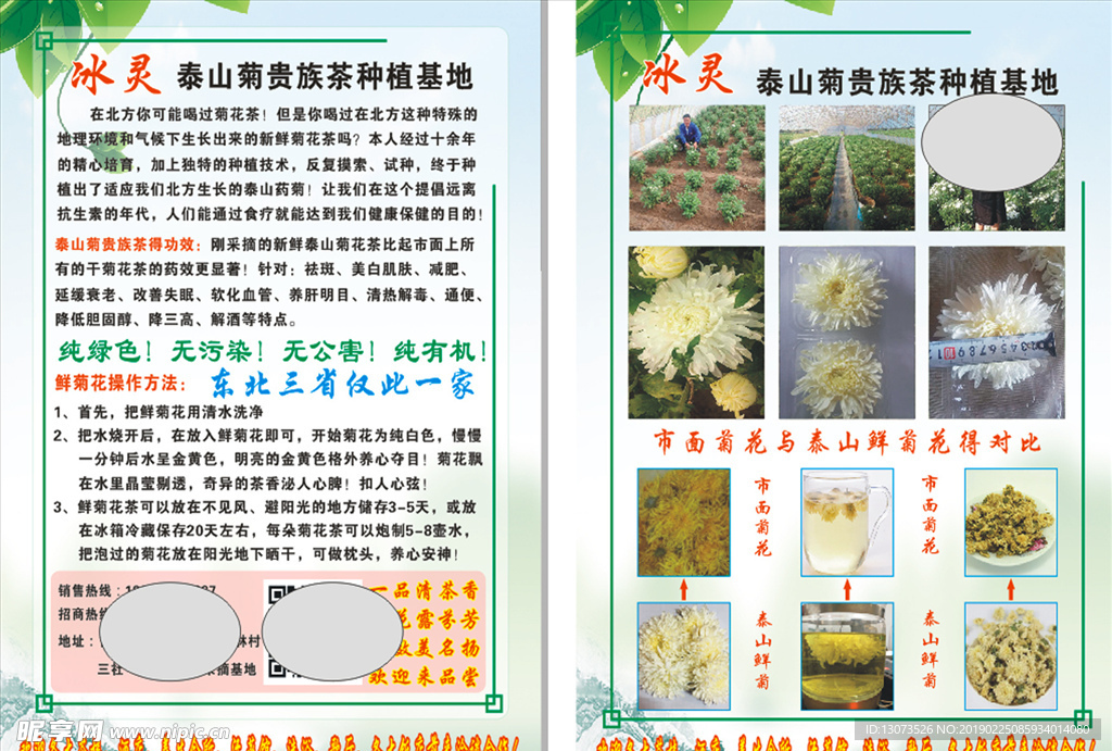菊花