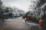 大雪扫雪