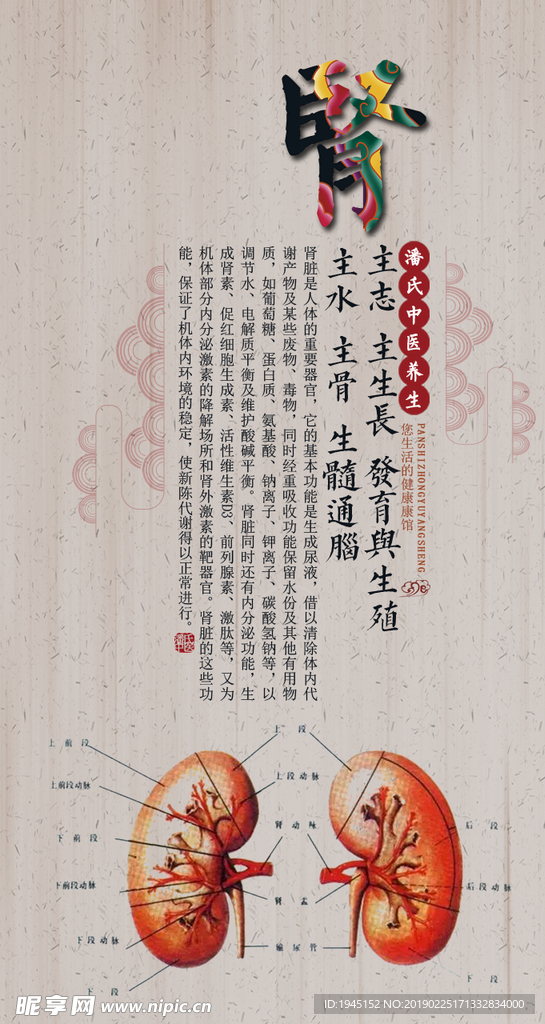 中医养生海报