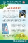 人工髋关节置换术