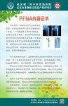 PFNA内固定术