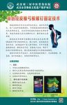 微创经皮椎弓根螺钉固定技术