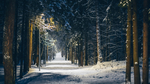 雪路