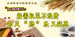 珍惜粮食水晶牌