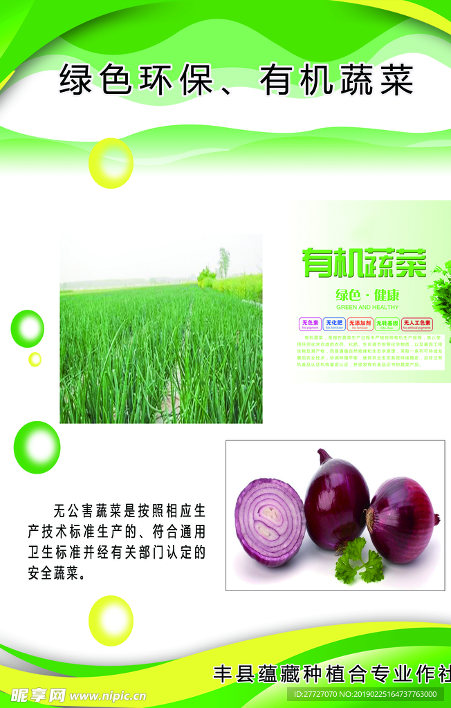 洋葱