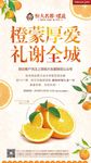 橙子