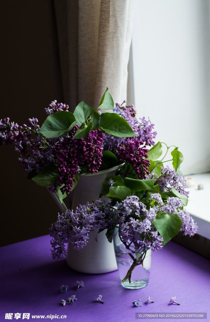 丁香花