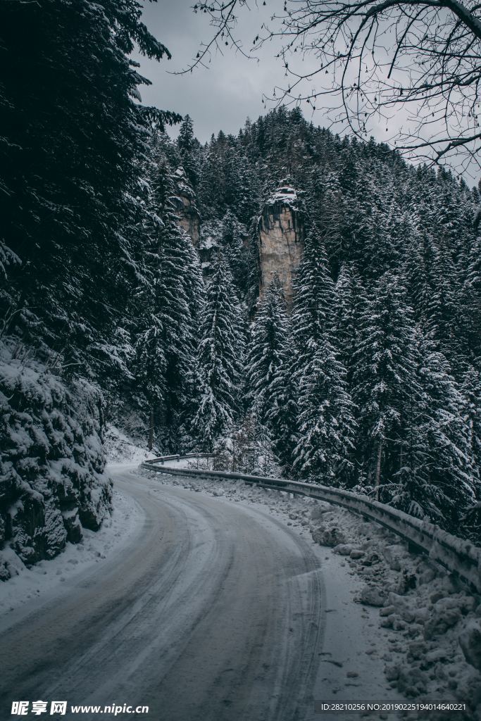 雪景