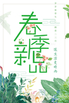 春季海报