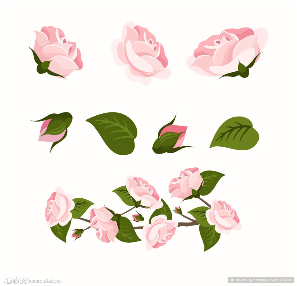 矢量玫瑰花