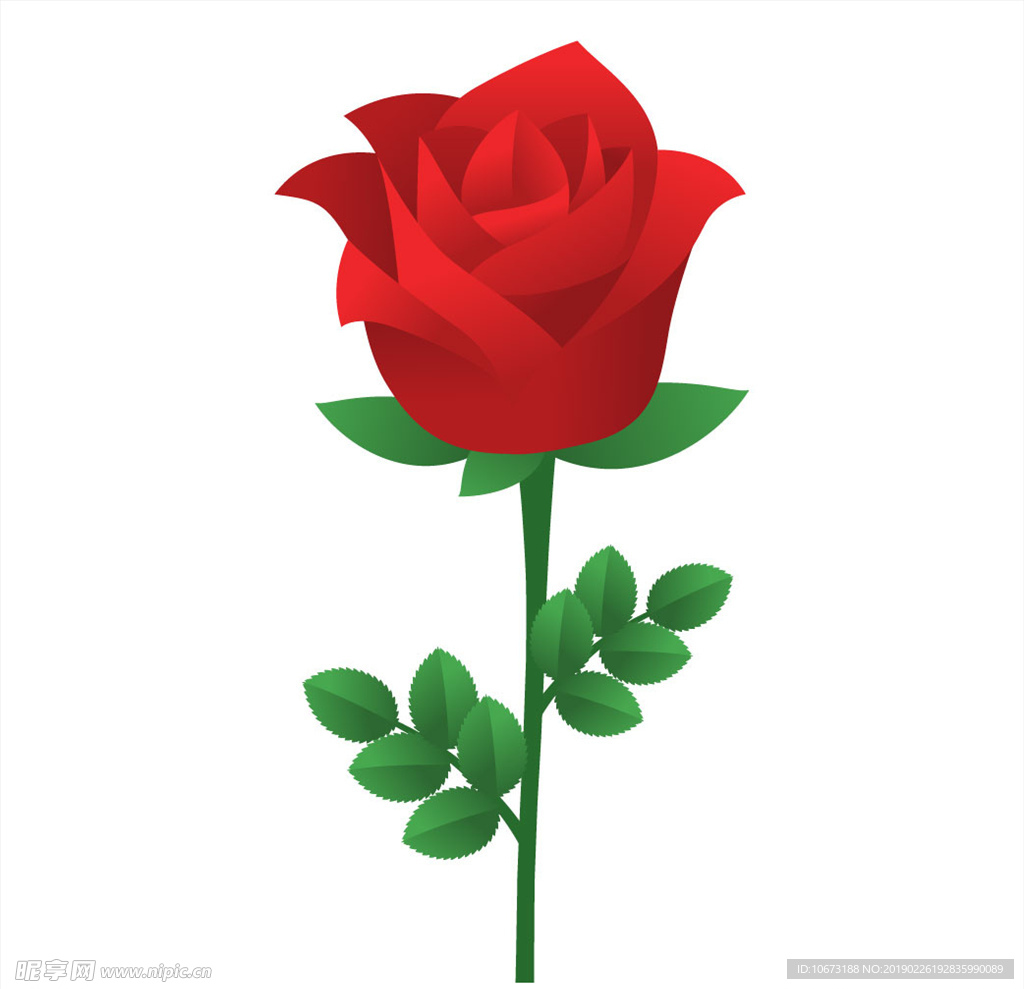 矢量玫瑰花